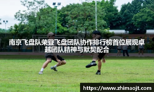 南京飞盘队荣登飞盘团队协作排行榜首位展现卓越团队精神与默契配合